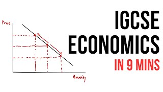 All of IGCSE Economics in 9 minutes summary [upl. by Emmet]