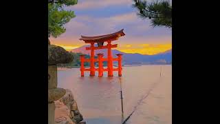 Itsukushima Shrine Hatsukaichi Japan [upl. by Siskind]