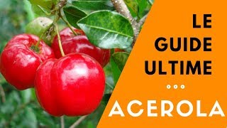 ACEROLA  Tout ce que vous devez savoir 2018 [upl. by Nauqat72]