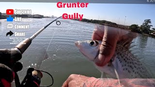 OFFROAD4LIFE Fishing Grunter Gully Durban South Africa [upl. by Inilahs]