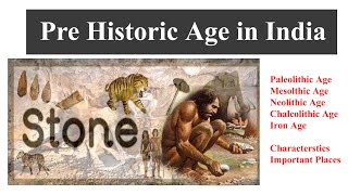 PLSHistory L01Paleolithic Age Mesolithic Age Neolithic Age Chalcolithic Age Iron Age [upl. by Motteo]