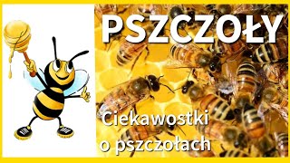 PSZCZOŁY I MIÓD🐝 CIEKAWOSTKI O PSZCZOŁACH I MIODZIE🐝Dzień pszczół Chrońmy zagrożone gatunki [upl. by Neelrihs]