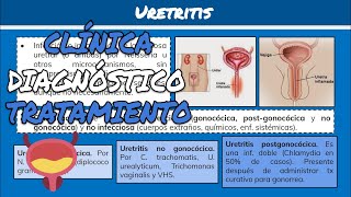 ⚕️🩺 URETRITIS Gonocócica y No Gonocócica Síntomas Diagnóstico y Tratamiento [upl. by Earvin788]