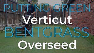 Verticut and Overseed Bentgrass Putting Green [upl. by Lowis]