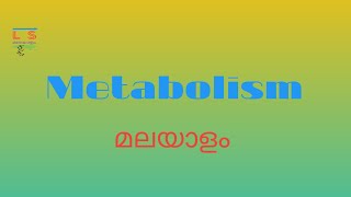 Metabolism  Biochemistry  Malayalam  Basic ideas [upl. by Lek]