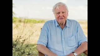 Exploring Biodiversity with David Attenborough Insights from quotA Life On Our Planetquot [upl. by Buckie]