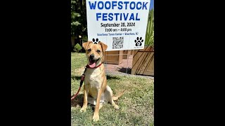 WOOFSTOCK is coming [upl. by Daye901]