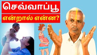 செவ்வாப்பூ என்றால் என்ன Sevvappu  Reason for Frequent Fever in Babies Tamil  Thanithuvamm [upl. by Disario327]