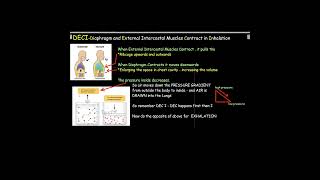 🫁 Learn Exhalation and Inhalation Using a Mnemonic in a Minute 🫁shorts [upl. by Eenert]