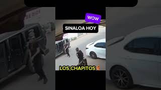 Los chapitos disparan a carro en Sinaloa narcosmexico sinaloa narcos culiacan ejércitomexicano [upl. by Calabresi]