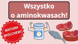 Wszystko o aminokwasach dla biolchema 😎 [upl. by Nazus]