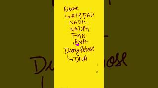 Problem from BIOCHEMISTRY BIOMOLECULES 35 cbse neet cuet mbbs shorts [upl. by Nojed900]