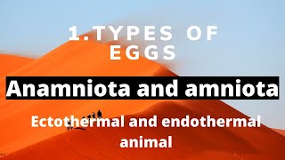 types of eggs in animals extraembryonic membrane poikilothermic and homoiothermous animal [upl. by Girovard]