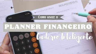 Como usar o planner financeiro do Caderno Inteligente l Passo a passo completo com exemplos [upl. by Anizor]