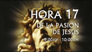 17 de 24 I Horas de la Pasión de Jesús Luisa Piccarreta Divina Voluntad [upl. by Annoled]