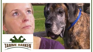 Dogge in Not Tamme ist die letzte Hoffnung  Tamme Hanken  Kabel Eins [upl. by Aekerly]