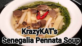 KrazyKATs Senegalia Pennata Soup ChaOm [upl. by Wendel653]