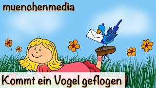 🎵 Kommt ein Vogel geflogen  Kinderlieder deutsch  Frühlingslied  muenchenmedia [upl. by Cynthy]