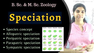 Speciation  types  Evolution  B Sc amp M Sc Zoology [upl. by Gauntlett99]