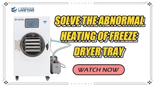 How to solve the abnormal heating of freeze dryer tray？ [upl. by Ebocaj]