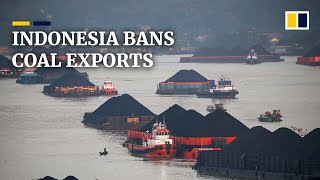 Indonesia imposes ban on coal exports out of fear of power outages [upl. by Demmer]