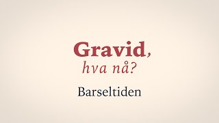 Gravid hva nå Episode 14 Barseltiden [upl. by Gosnell]