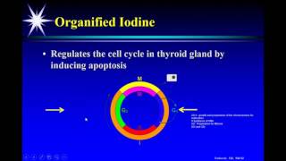 P2P Webinar Iodine amp Autoimmune Thyroid Disorders [upl. by Shaddock]