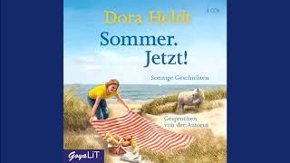 Dora Heldt Sommer Jetzt  Hörbuch [upl. by Nauqe]