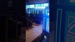 New Palace Station Casino SPORTSBOOK Las Vegas Hotel Remodeled sportsbook [upl. by Portia147]