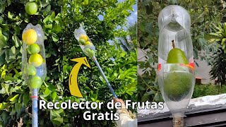 Como Hacer un Recolector de Frutas  El Mejor recogedor de Frutas Gratis [upl. by Malchus]