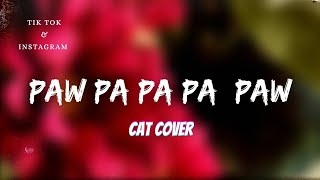 Paw Pa Pa Pa Pow Song GyurzCat Cover x Instrumental Full Song Tik Tok amp Reels [upl. by Noella]