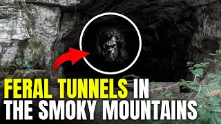 Uncovering The Feral Peoples Secret Tunnels in Smoky Mountains [upl. by Sherry]