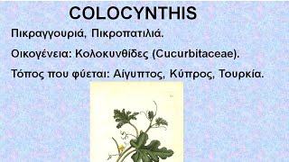 COLOCYNTHIS  ΑΝΤΙΜΕΤΩΠΙΣΗ ΟΞΕΩΝ ΚΑΤΑΣΤΑΣΕΩΝ ΜΕ ΟΜΟΙΟΠΑΘΗΤΙΚΗ [upl. by Caylor]