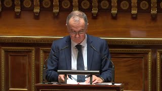 Solidarités  le Sénat vote un budget en hausse centré sur la déconjugalisation de l’AAH [upl. by Mab]