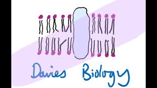 43 Mutation [upl. by Notgnilliw]