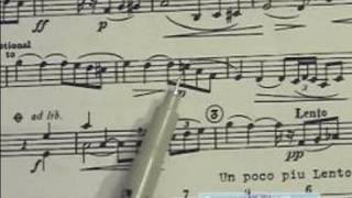 How to Read Sheet Music  How to Read Accidentals in Sheet Music [upl. by Innor187]