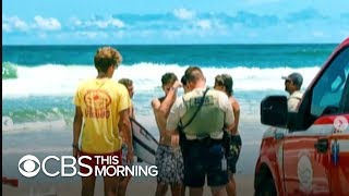 Swimmers injured in Florida shark attacks [upl. by Adraynek147]