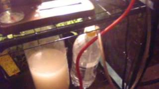 part 2 how to make a co2 generator for growing plants [upl. by Magdau]