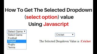 javascript get dropdown select option selected value onchange label [upl. by Swor]