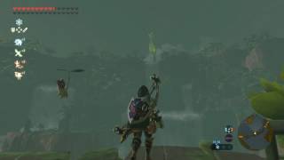 Good Farosh Farming Spot Breath of the Wild [upl. by Ayifas963]