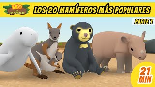 Los 20 Mamíferos Más Populares Episodio Compilación Parte 15  Leo El Explorador Episodio [upl. by Amora]