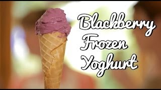 Blackberry Frozen Yoghurt Recipe [upl. by Ennaylil]