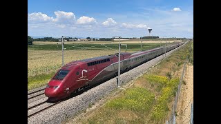 High speed train TGV Thalys AVE OUIGO InOui frecciarossa in France [upl. by Hen149]