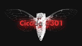 Cicada 3301 An Internet Mystery  LEMMiNO [upl. by Aicertap100]