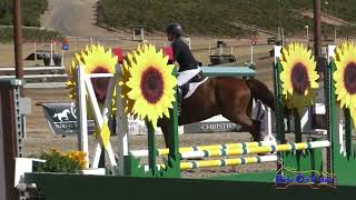 227S Lisa Sabo on Summerwood Clover Rua Open Beg Novice Show Jumping Twin Rivers Ranch Sept 2024 [upl. by Christan]