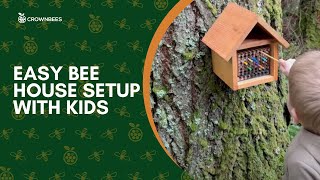 Easy Bee House Setup for Kids [upl. by Ecitnirp]