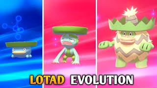 How To Evolve Lotad Into Lombre amp Ludicolo In Pokemon Sword amp Shield  Galar Pokedex [upl. by Scoville]