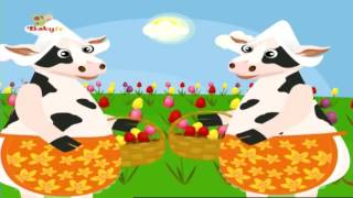 BabyTV Nederlands  Jammers  Concertina [upl. by Sikram]