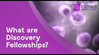 What are BBSRC Discovery Fellowships [upl. by Femi]