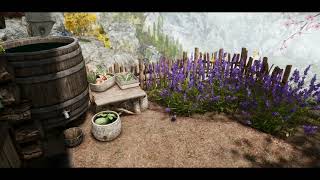 Clear Spring Cottage  Skyrim Special Edition  Player home [upl. by Galligan]